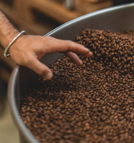 main du torréfacteur de café de spécialité -Mirabilis