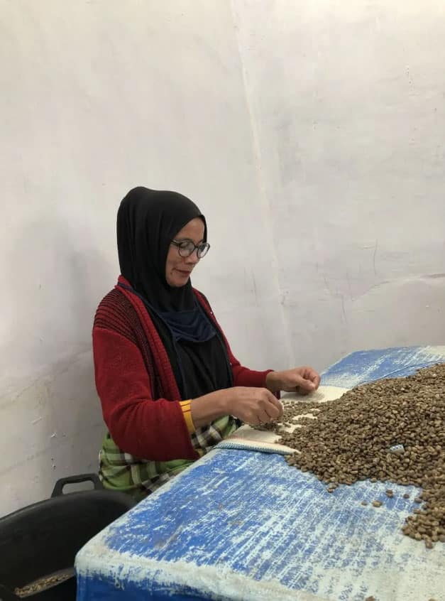 MONTAGNE CAFES - CAFÉ BIO DE SUMATRA