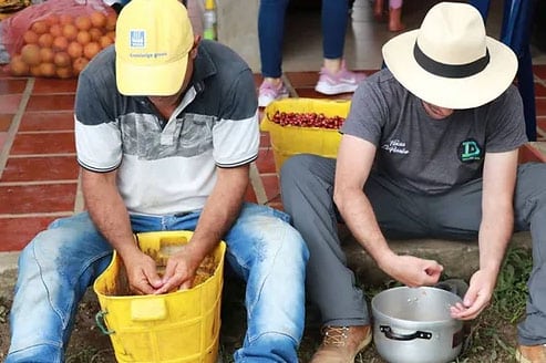 producteurs - Ferme El Paraiso - Colombie Producteurs de café à la ferme El paraiso en Colombie