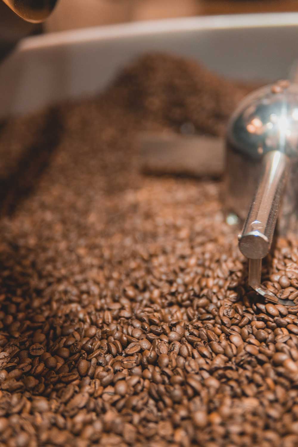Café de spécialité et formation torréfaction - Mirabilis