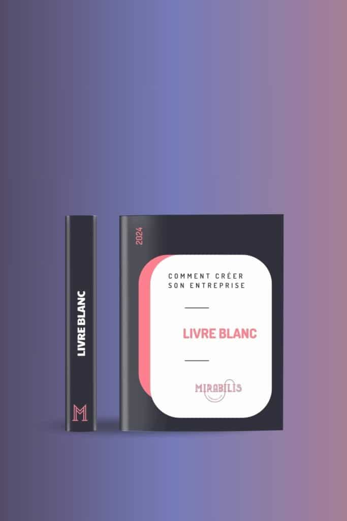 Livre blanc Mirabilis - Créer son entreprise