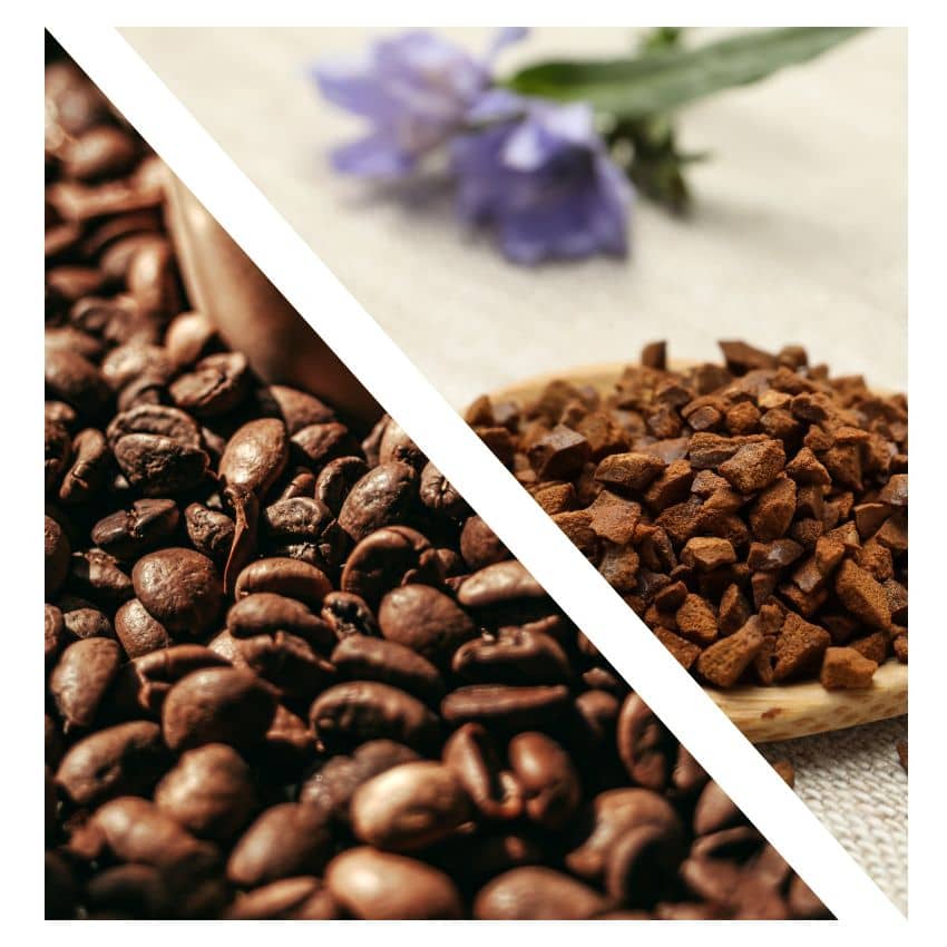 café et chicorée
