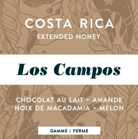 Fiche café du Costa Rica Los Campos de Piha