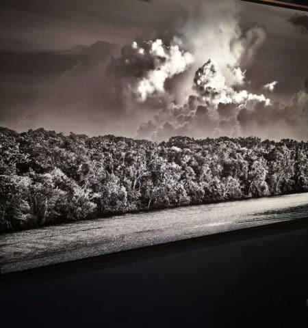 Amazonie et rivières volantes - de Salgado