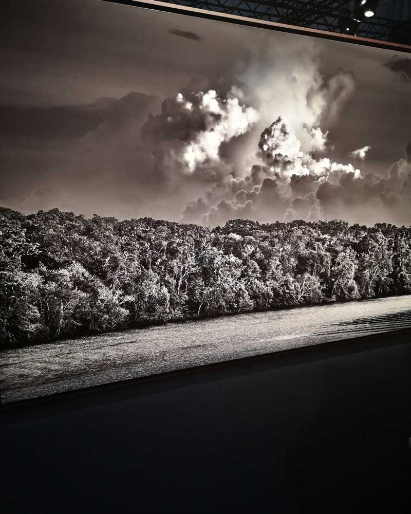 Amazonie et rivières volantes - de Salgado