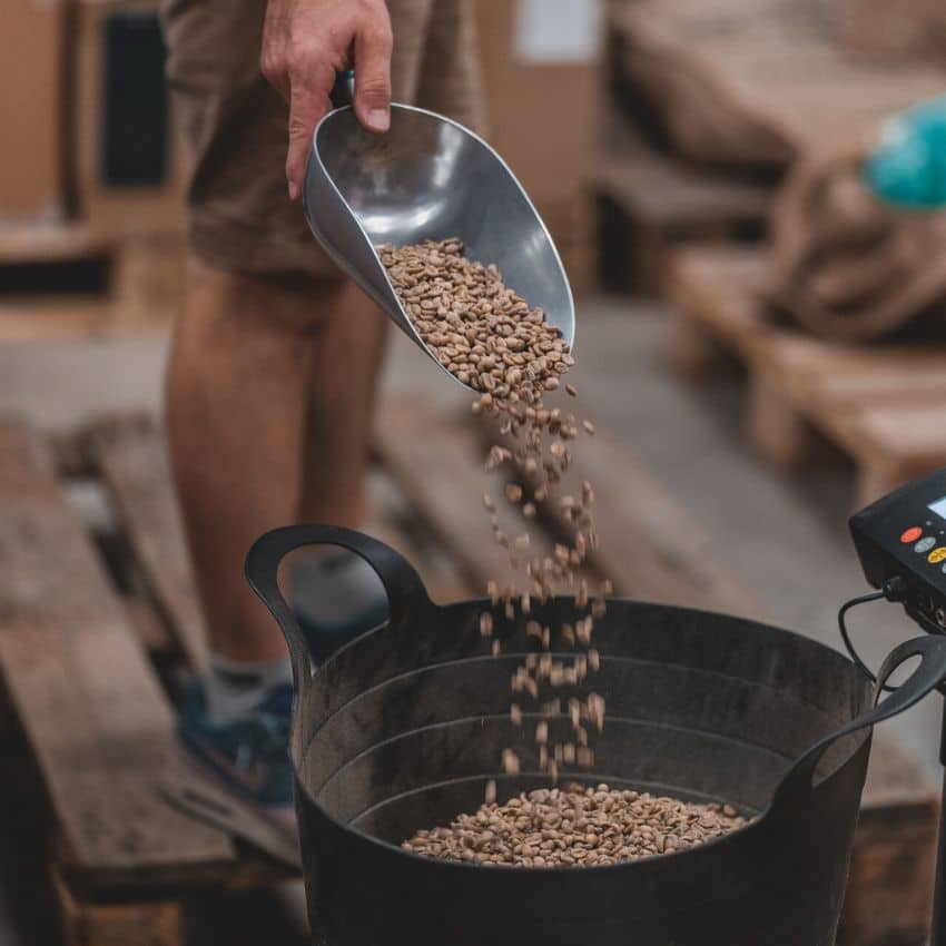 découvrir le métier de torréfacteur - sélection du café